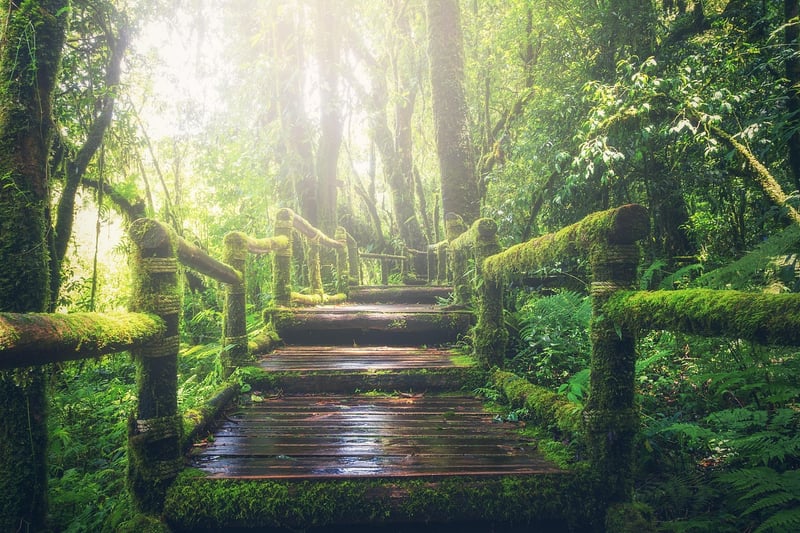 Garden Pathway